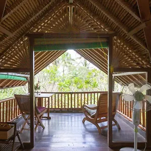 Bali Firefly Ubud